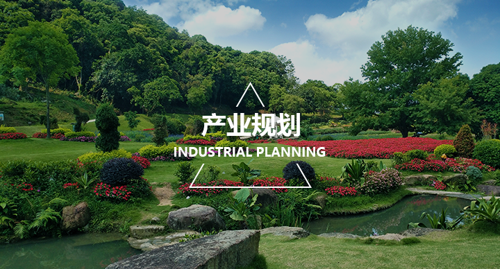 产业规划